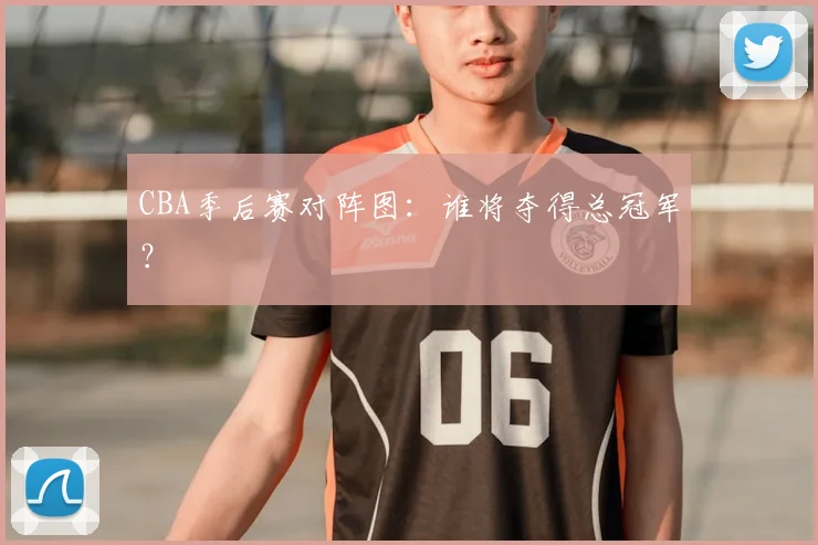 CBA季后赛对阵图：谁将夺得总冠军？